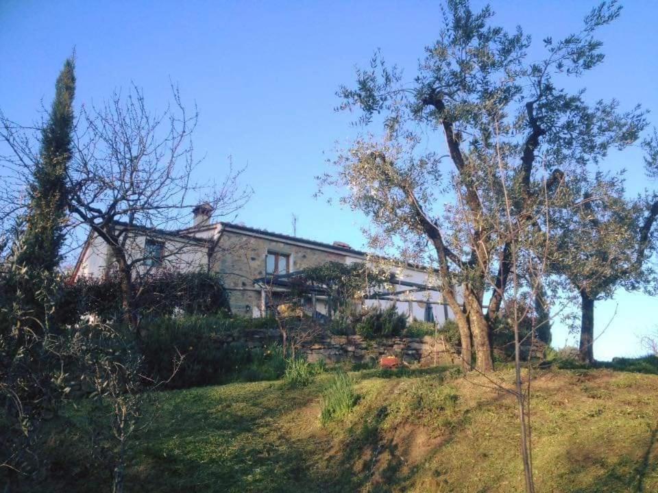 Agriturismo Menghino Nievole 外观 照片