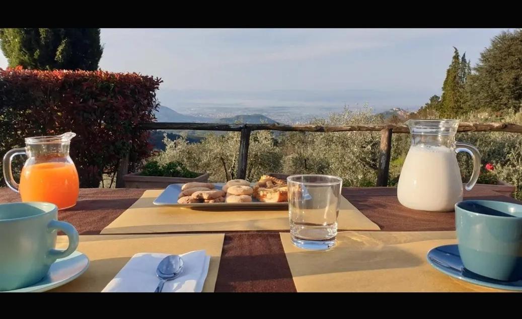 Agriturismo Menghino Nievole 外观 照片